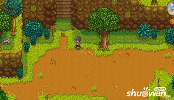 星露谷物语鱼饵哪里买