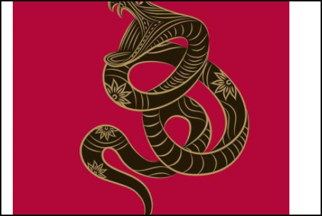 请问今年66岁是什么生肖