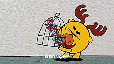 平博士密码: 鹿教授的解释