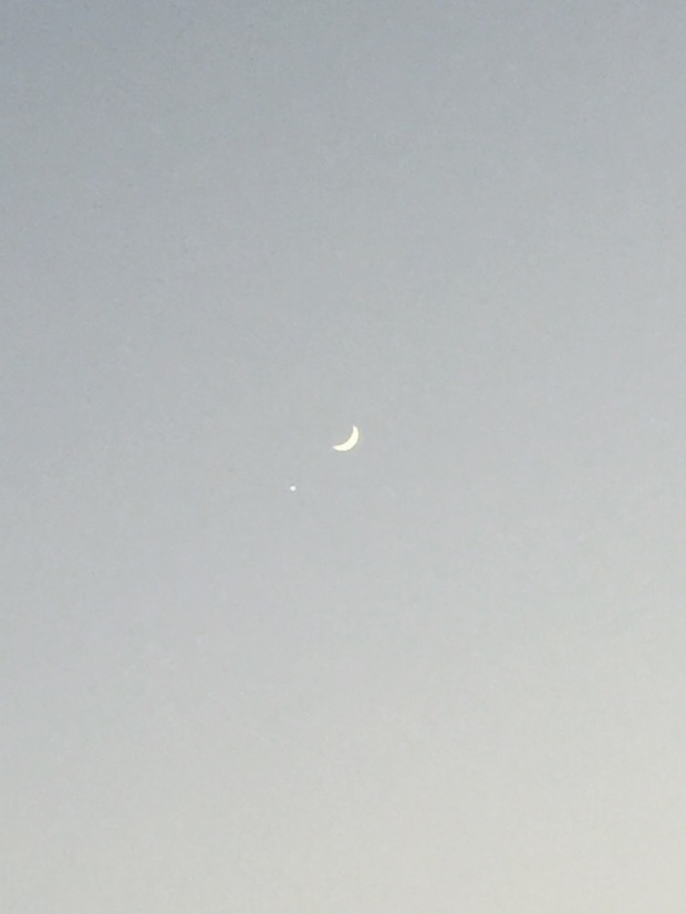 2017元月2日什么星伴月?