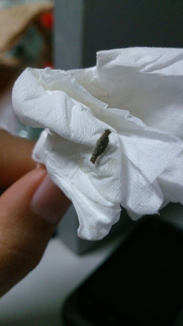 扁扁的,灰黑色的.