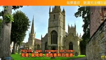 [图]世界名曲《斯卡布罗集市》,莎拉布莱曼原唱经典,天籁之音!