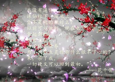 动漫花千骨白子画图片带字