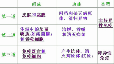 下列生理作用属于非特异性免疫的是( )①唾液中