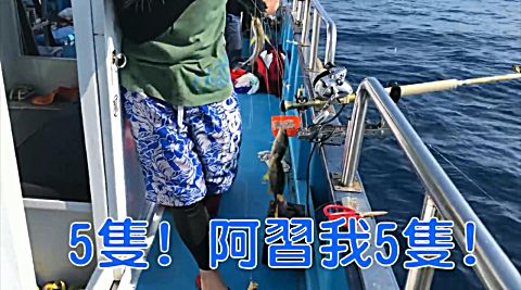 串钩 诱饵笼钓组爆钓黄鸡鱼,鱼一条接一条,排着队上钩!