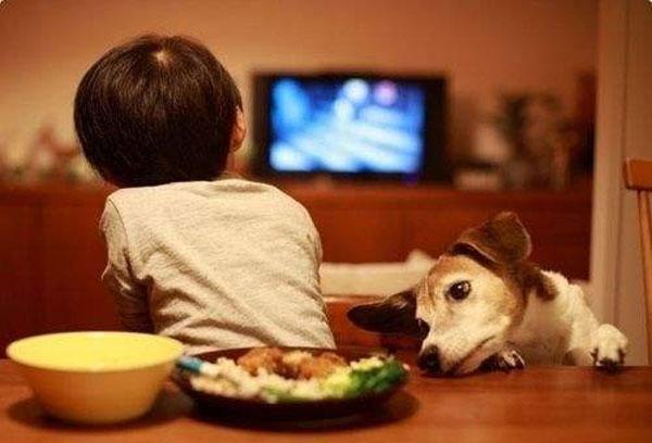 暑假到了,孩子沉迷于看电视无法自拔怎么办?