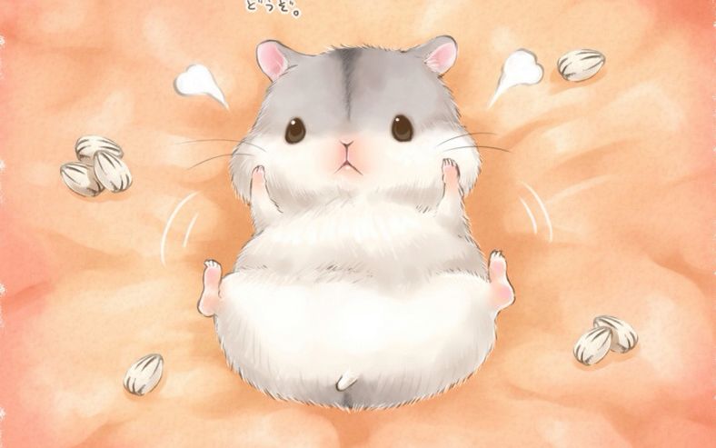 【仓鼠】仓鼠管家之零食篇,新人新作,求关注么么哒