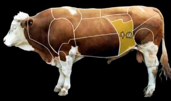 牛腩是牛的那个部位?怎麼做才好吃?