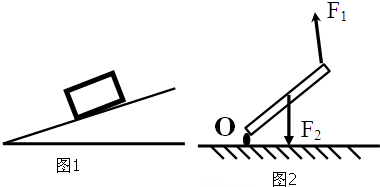 把它放在斜面上,请你用力的示意图画出图1物体受到的重力和斜面上受到