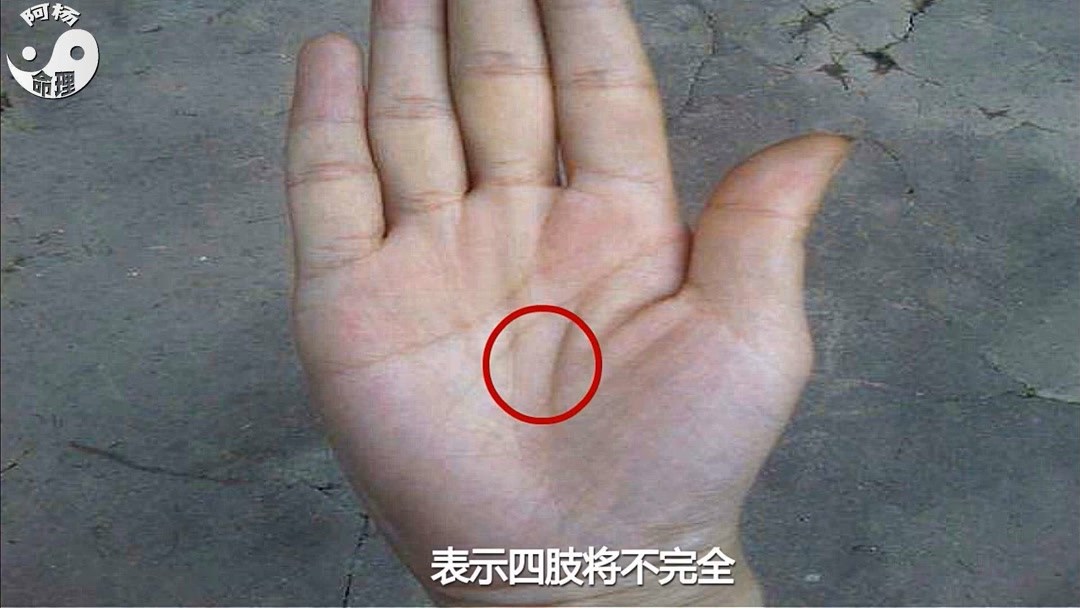 360影视 影视搜索 360影视 影视搜索