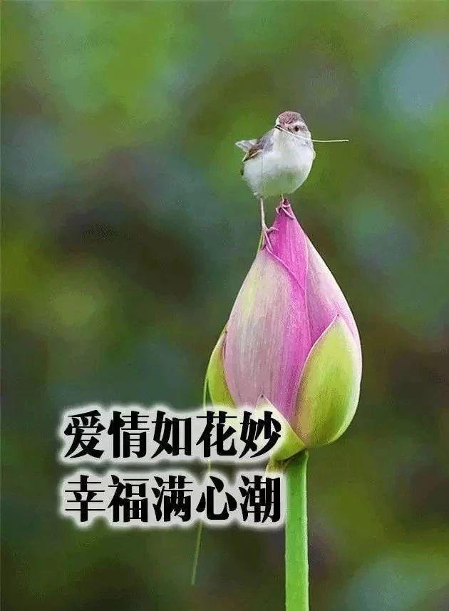 致朋友跨年的文案