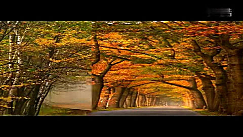 俄罗斯经典歌曲-小路-口哨版!旋律优美!听醉了