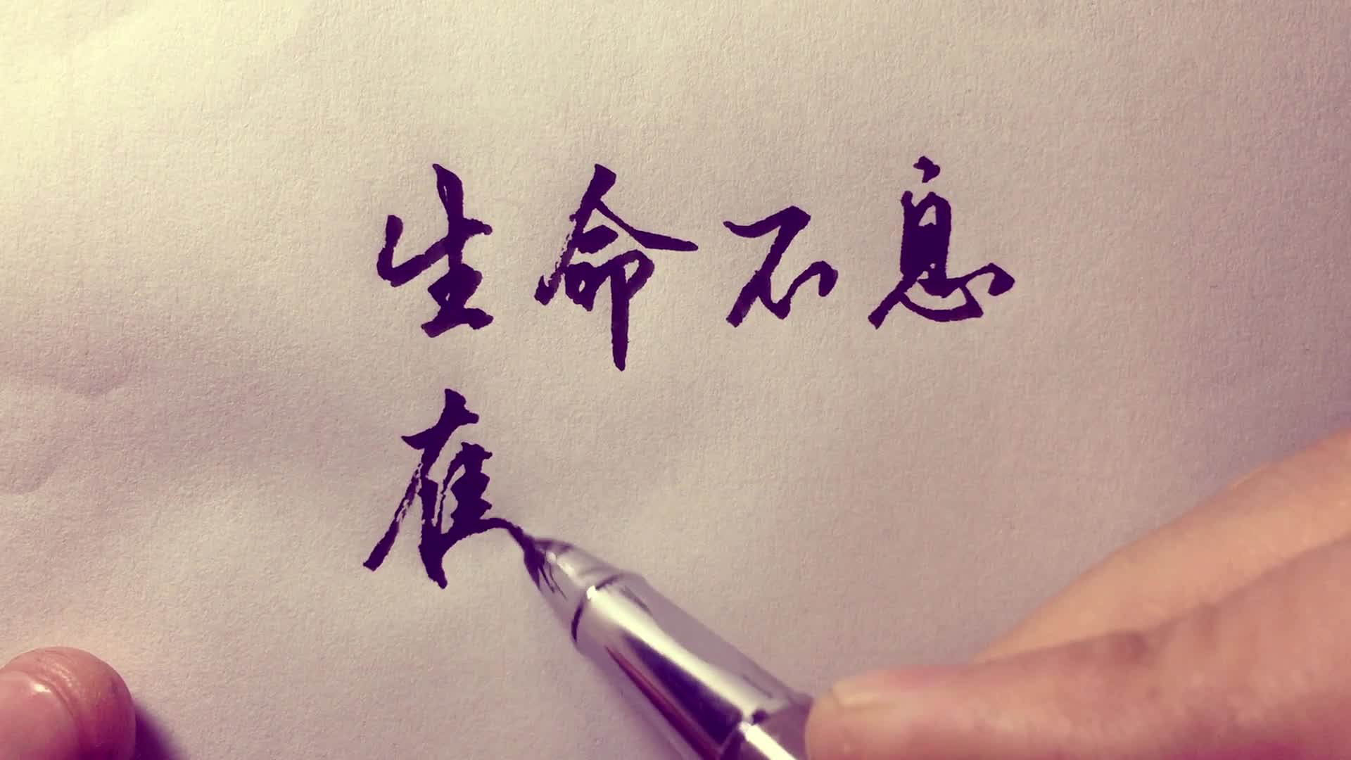 美工笔行书:生命不息,奋斗不止!