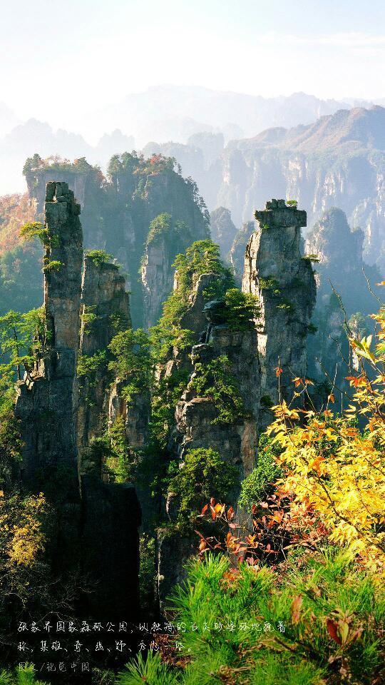 性格内向自卑,又不是很聪明,做事能力差的人是