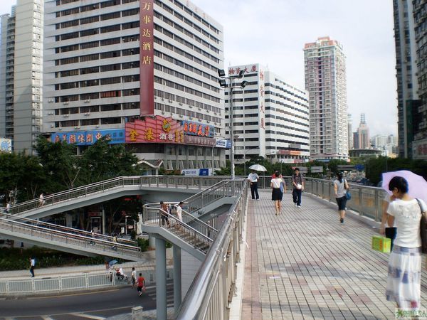 深圳市自考办地址