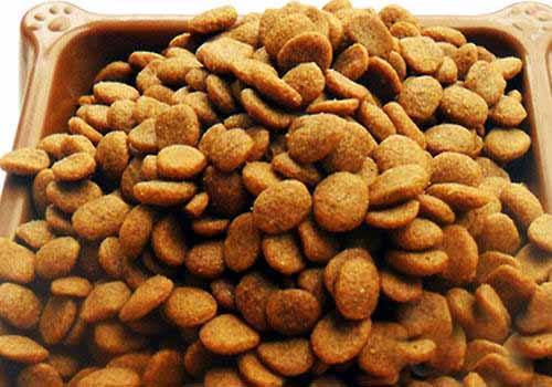 狗粮人可以吃吗