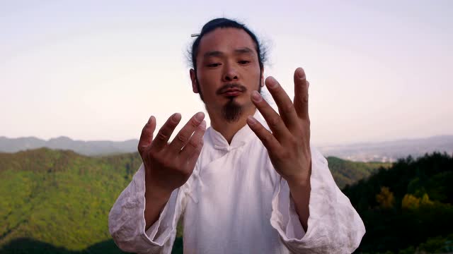 陈师宇武当太极十三势(回龙观新拍)