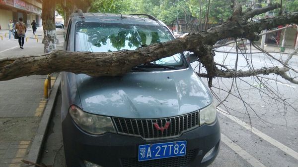 我的汽车停在马路边的停车位上,正确停放!被一