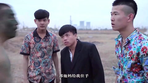 四平青年之鹤城往事