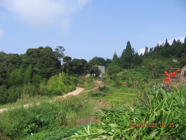 福州閩侯縣大湖鄉石牛山森林公園在牆坪村梧桐裡自然村