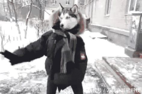 中国气象台发布的天气预报