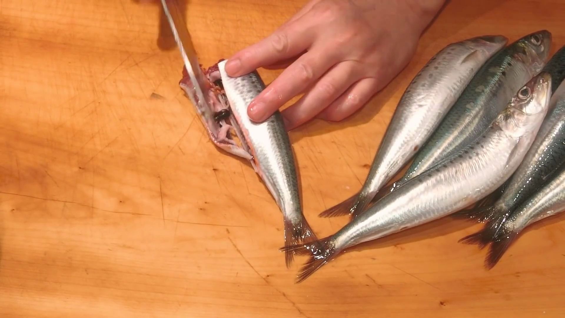【日料刀工系列】远东斑点沙丁鱼葱拌刺身,油浸沙丁鱼,海鳗鱼卵,红烧