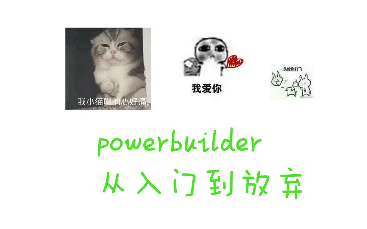 [图][powerbuilder]数据库逐个显示信息