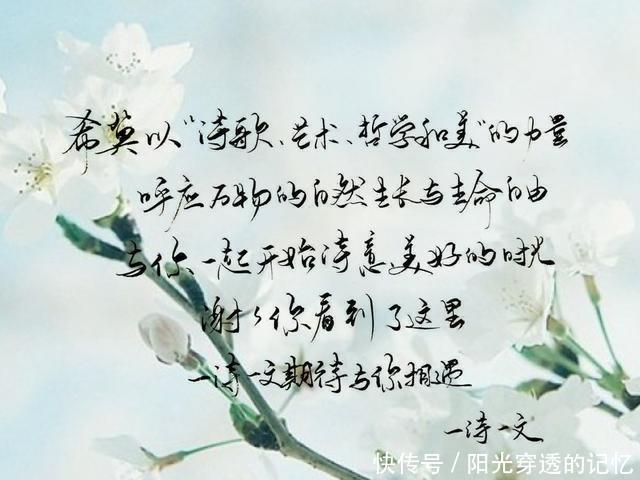 我喜欢的你在哪