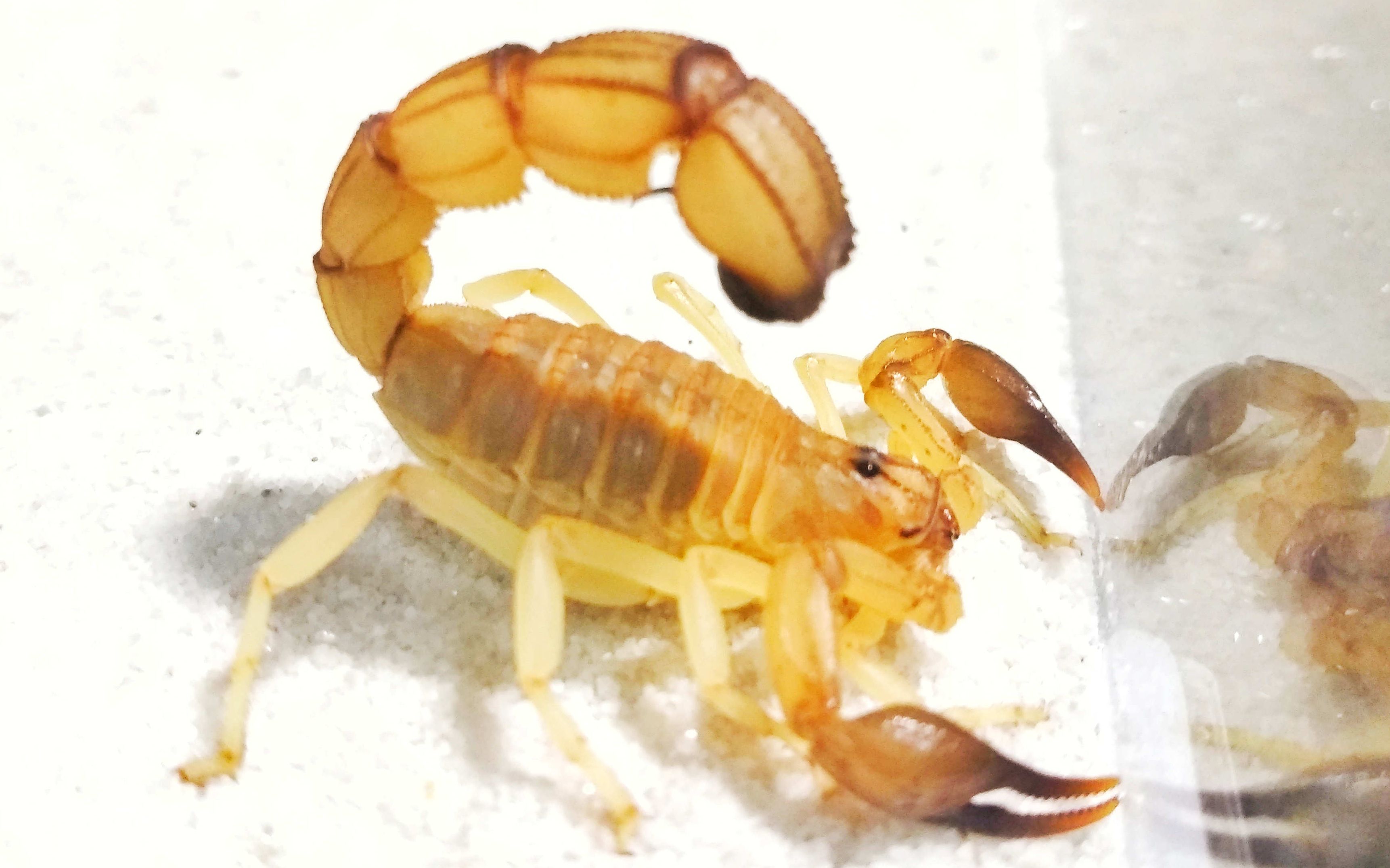 360影视-影视搜索