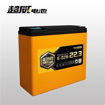 电车电瓶什么牌子好?求推荐