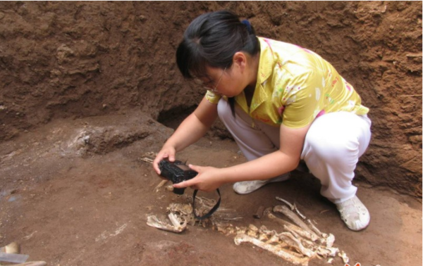 秦始皇祖母陪葬墓发现了什么?