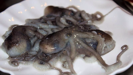 视频:直播口吐活章鱼!