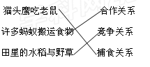 试题分析:生物与生物之间的关系常见有:捕食关系,竞争关系,合作关系