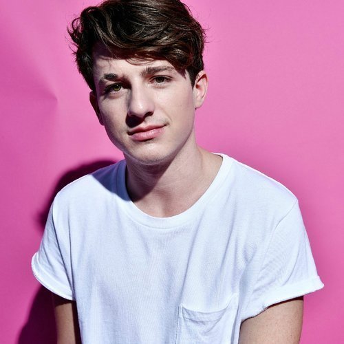 请问一下谁有查理普斯(charlie puth)qq音乐上的那个头像原图啊 如图