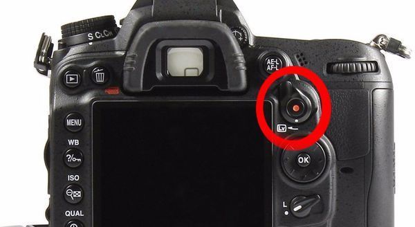 单反相机怎么用显示屏取景尼康d7000