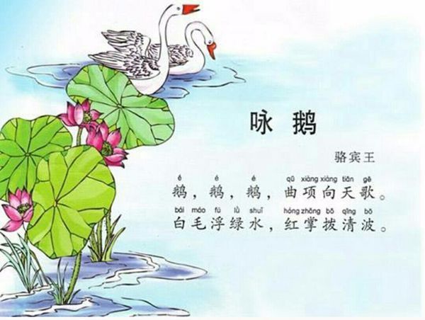 古詩詞《詠鵝》的配圖?