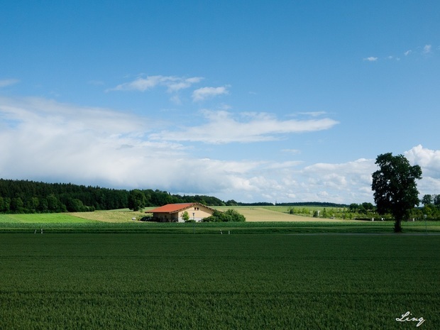 PhotoShop CS5利用内容识别去掉图片多余杂