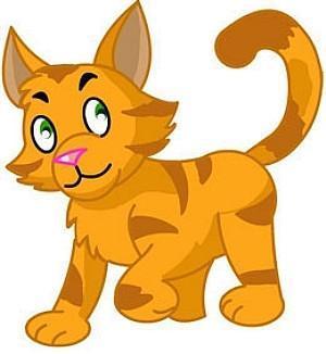 简笔画小花猫有什么颜色