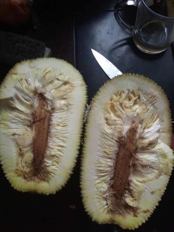 菠萝蜜切开这样