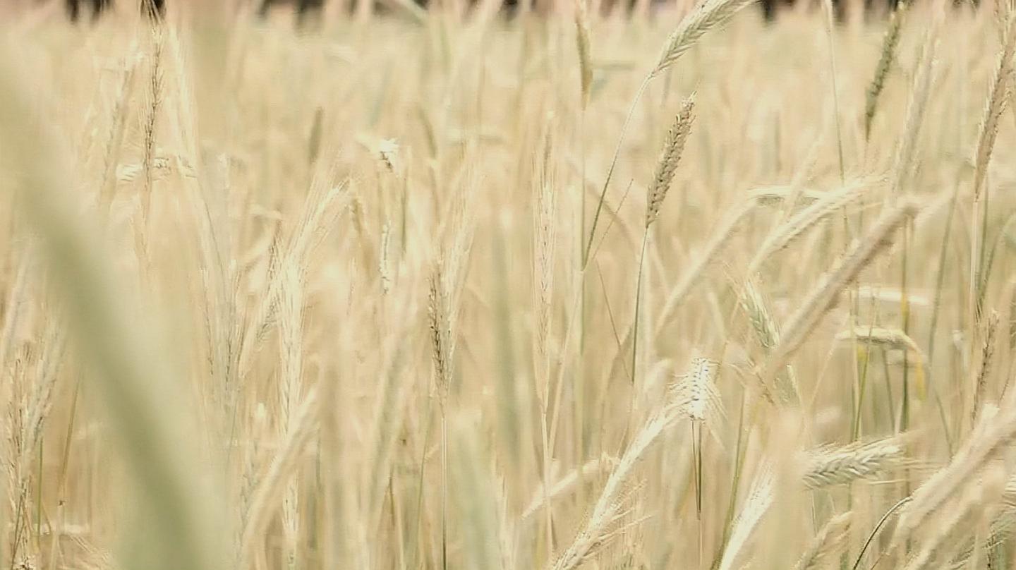 [图]《风居住的街道-矶村由纪子》夏天的风,吹你头发吹你耳朵