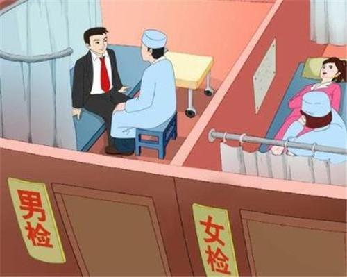 男性婚检都检查什么项目