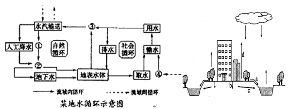 左图是某地水循环示意图,右图为城市水循环示意图,读图回答下列问题.