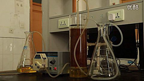 吸附 六价铬实验