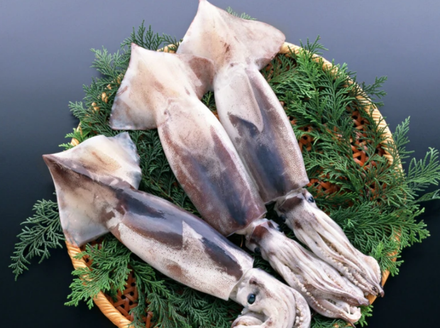 鱿鱼的种类有哪些?