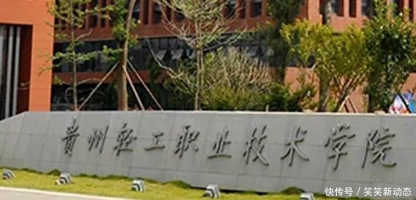 高职教育双高名单