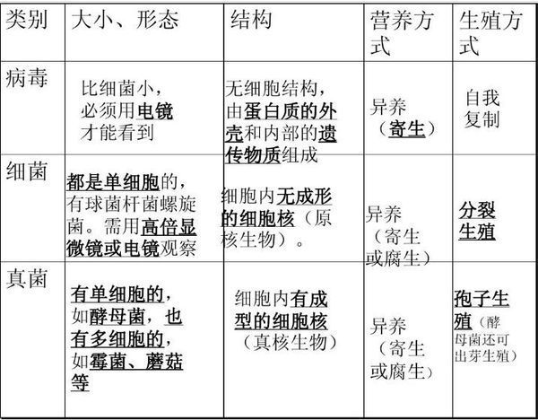 请列表比较病毒细菌和真菌的异同?