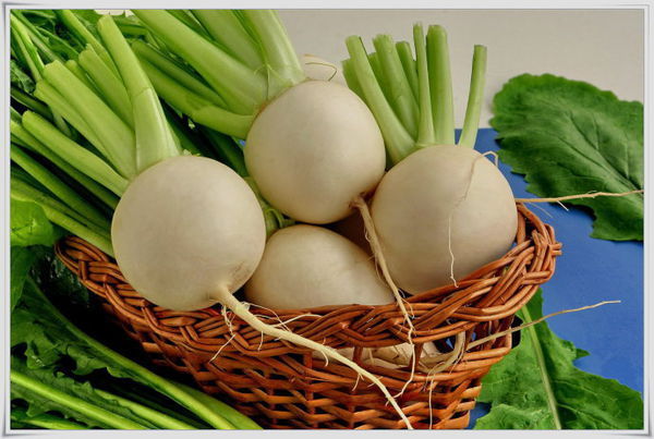 芜菁和白萝卜这两种蔬菜有什么不同的地方吗?