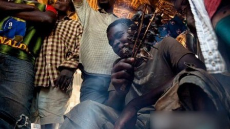  b>非洲人吃老鼠 /b>吃的可欢了!