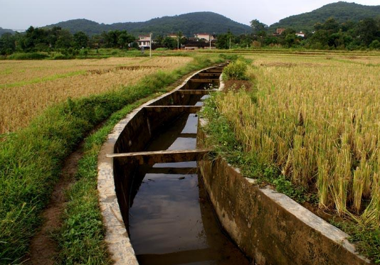 水渠是什么意思?