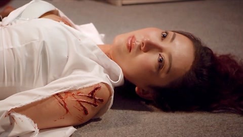 绝命航班:风流空姐的离奇死亡,身上全是动物抓伤,乘客们慌了